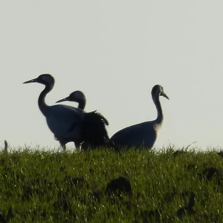 Les Jardins De La Quietude شقة Bettancourt-la-Ferrée