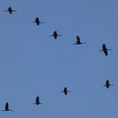 Les Jardins De La Quietude